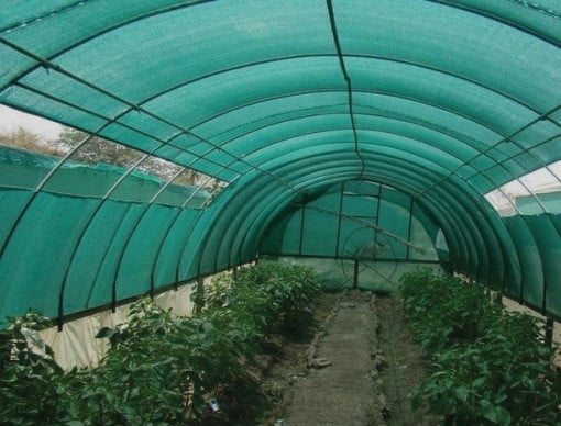 PLASA UMBRIRE VERDE 2 M X 25 M X 80 % GRAD DE UMBRIRE