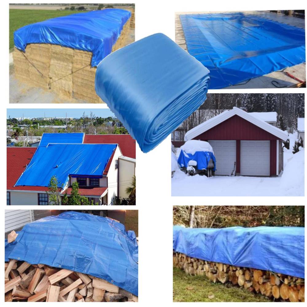 Prelată Exterior 150g/m² cu Inele Metalice – Impermeabilă, Albastru